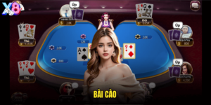 Bài Cào